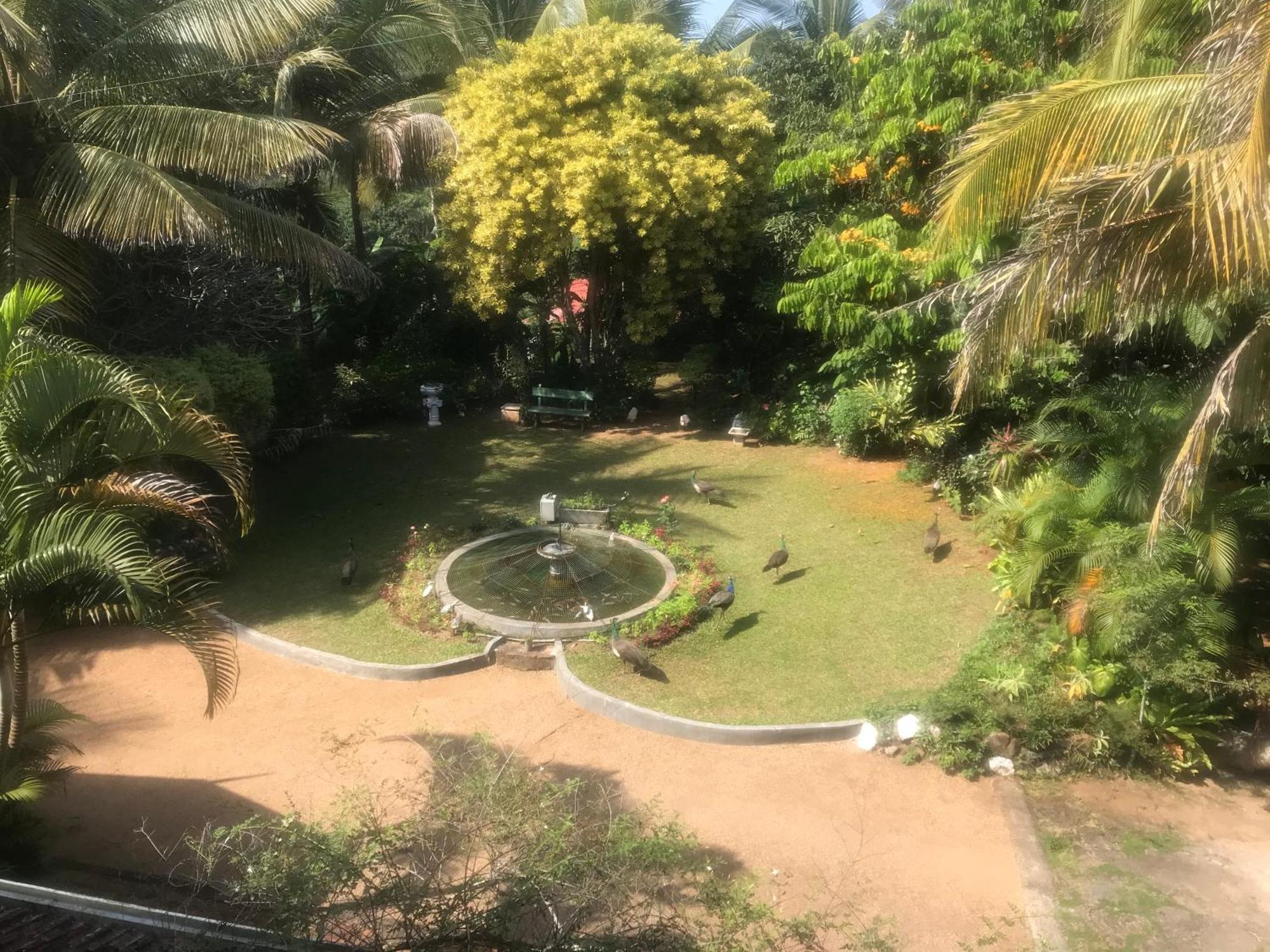 Wattarantanne Homestay Kandy Buitenkant foto