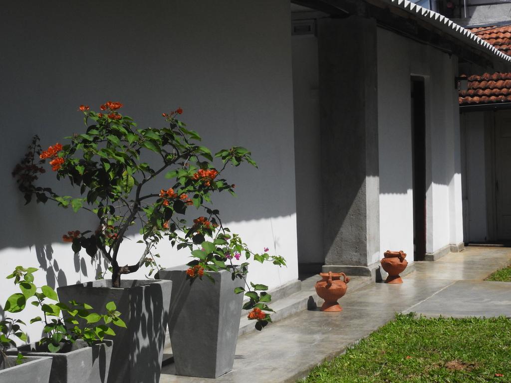 Wattarantanne Homestay Kandy Buitenkant foto